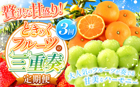 [ 定期便 3回 ] 贅沢な甘盛り! ときめくフルーツの三重奏 | 果物 くだもの フルーツ シャインマスカット みかん いちご 定期 熊本県 玉名市