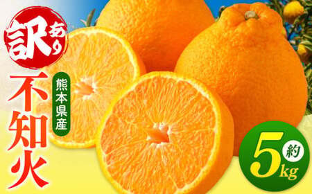 [ ご家庭用 訳あり ] 不知火 5kg | デコポン みかん 不知火 熊本県 玉名市 フルーツ 柑橘 果物