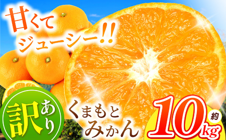 󂠂 ܂ ݂  10kg y 11`2܂  z | ʕ  t[c k k ݂-݂-݂-݂-݂-݂ F{ ʖs