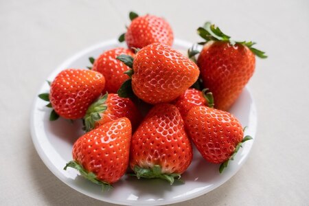 坂本いちご農園 ゆうべに 1kg