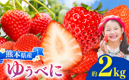 {_ 䂤ׂ 2s | 䂤ׂ ʕ  t[c C`S   F{ ʖs