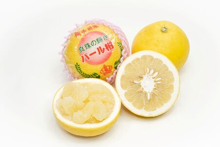 パール柑 訳あり 約5kg | フルーツ 果物 柑橘 甘い 爽やか ビタミンC 熊本県 玉名市