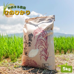 かめまる農園の「ひのひかり」5kg | 米 こめ お米 おこめ 白米 精米 ひのひかり 熊本県産 熊本県 玉名市
