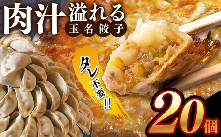 タレ不要!! 肉汁 溢れる『 玉名餃子 』 20個 | 餃子 ぎょうざ お手軽 小分け 冷凍 冷凍食品 おかず 豚肉 熊本県 玉名市