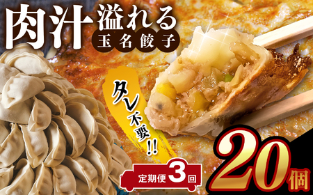[定期便3回]タレ不要!! 肉汁 溢れる『 玉名餃子 』 20個 | 餃子 ぎょうざ お手軽 小分け 冷凍 冷凍食品 おかず 豚肉