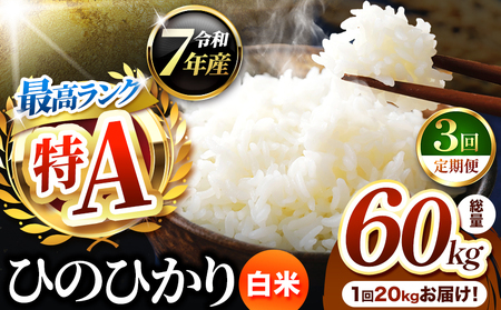 [ 定期便 3回 ]熊本県産 ひのひかり 白米 20kg | お米 米 こめ おこめ 精米 白米 ヒノヒカリ 20キロ ご飯 国産 国産米 定期 くまもと 熊本 熊本県 玉名市 玉名