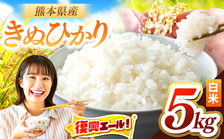 令和7年産 きぬひかり 5kg | お米 米 こめ おこめ 精米 キヌヒカリ 5キロ 国産 国産米 くまもと 熊本 熊本県 玉名市 玉名