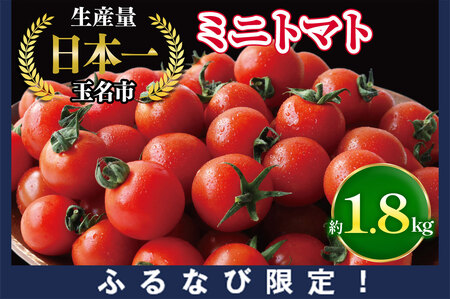 [ふるなび限定]ミニトマト 生産量 日本一 玉名市 ! ミニトマト 約 1.8kg | 野菜 トマト プチトマト 生産者直送 産地直送 熊本県 玉名市[FN-Limited]