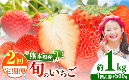 [定期便2回] 旬のいちご 約500g