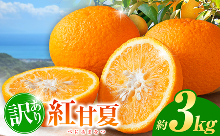 訳あり 紅甘夏 約 3kg | 甘夏