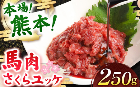 馬肉さくらユッケ 250g ( 50g × 5 ) |お肉 馬肉 ゆっけ 熊本県 玉名市
