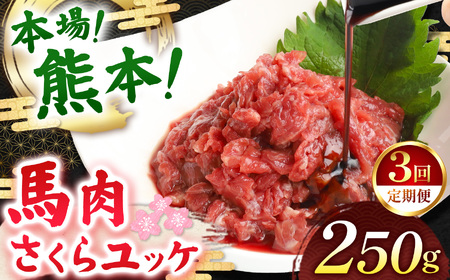 [定期便 3回]馬肉さくらユッケ 250g ( 50g × 5 ) | お肉 馬肉 ゆっけ 定期 定期便 熊本県 玉名市