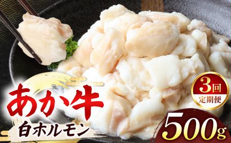 [定期便 3回]あか牛 白 ホルモン 計500g (250g×2P) | 肉 にく お肉 おにく 牛 あか牛 ホルモン 白ホルモン 熊本県 玉名市 定期 定期便