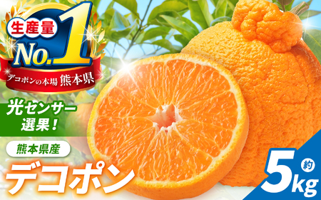 光センサー 選果! 熊本県産 デコポン 約 5kg | 果物 くだもの フルーツ 柑橘 柑橘類 でこぽん 旬 味覚 熊本県 玉名市