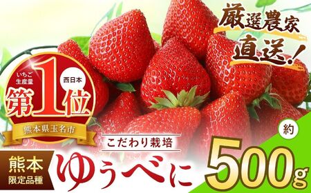 ���I�_�ƒ��� �䂤�ׂ� ��500g | �C�`�S ������ � �ʕ� �������� �t���[�c �F�{�� �ʖ��s