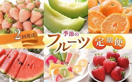 [ 定期便2回 ] 熊本 人気 フルーツ | 果物 白いちご 淡雪 不知火 デコポン みかん いちご イチゴ メロン すいか スイカ アイス キャンディー クレープ みかん 柑橘