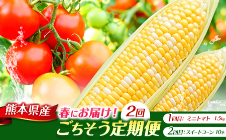 [定期便2回]ミニトマト 約1.5kg & スイートコーン 10本