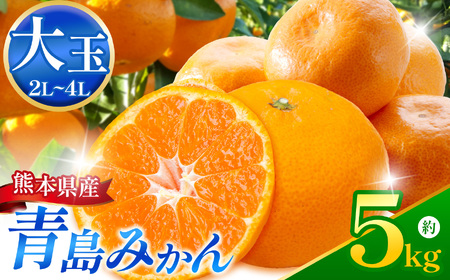 こだわり栽培 青島みかん (2L〜4L) 約5kg iFARM 岩城農園 | フルーツ 果物 くだもの 柑橘 みかん ミカン オレンジ 青島ミカン 甘い 大容量 熊本県 玉名市