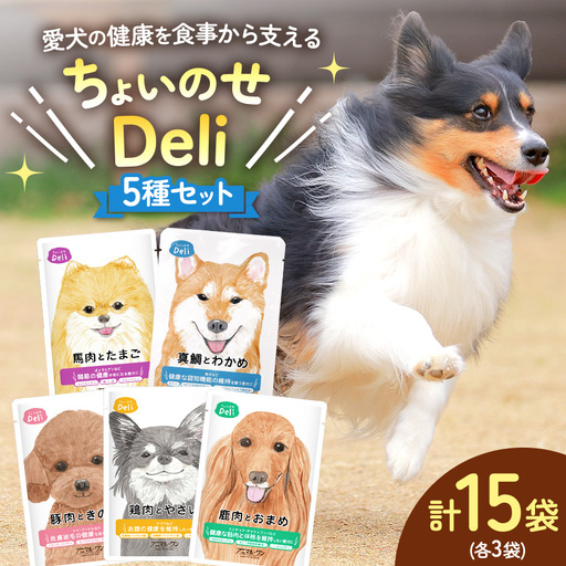 ちょいのせDeli 5種 × 各3袋 セット | ペット 愛犬 犬 ウェットフード 国産 ドッグフード 熊本県 玉名市