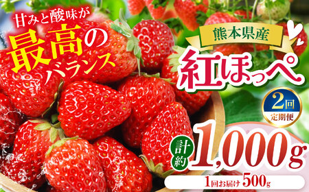 [定期便2ヶ月][農家から届く甘酸っぱい贈り物]紅ほっぺ 約1000g | いちご 国産 産地直送 低農薬 ギフト 熊本県 玉名市