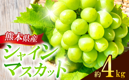 熊本県産 シャインマスカット 約4kg 『 かめまる食堂 』 種無し ぶどう