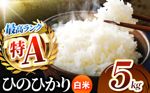 熊本県産 ひのひかり 白米 5kg