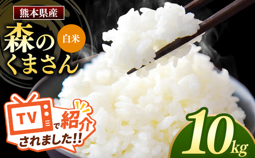 熊本県産 森のくまさん 白米 10kg