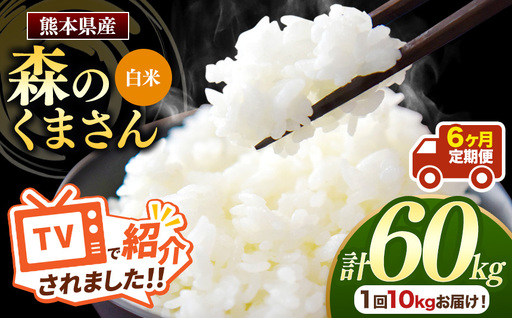 【 定期便 6回 】 熊本県産 白米 森のくまさん 10kg