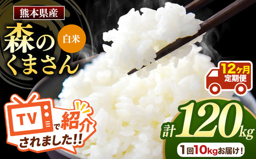 【 定期便 12回 】 熊本県産 白米 森のくまさん 10kg