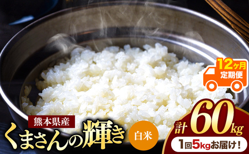 【定期便12回】熊本県産白米 くまさんの輝き 5kg