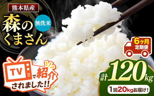 【 定期便 6回 】 熊本県産 無洗米 森のくまさん 20kg