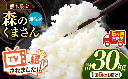 【 定期便 6回 】 熊本県産 無洗米 森のくまさん 5kg