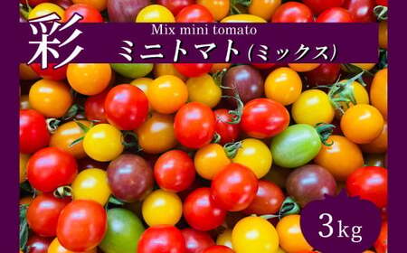 サザキ農園 ミニトマト 彩り セット ( ミックス ) 3kg 