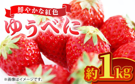 ys\z䂤ׂ Pkgy܂ӂz[ZBG063]