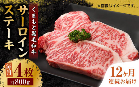 y12ցz܂ƍјa T[CXe[L v800gi4jynh̋ zXe[L T[C ~ F{ [ZBL109]