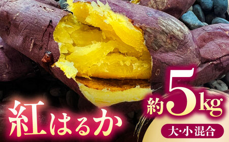 ܂ g͂邩 5kgy AOt@[z[ZDN002]