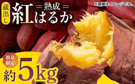 【数量限定】【先行予約】蔵出し 熟成 紅はるか さつまいも 約5kg サイズバラバラ 密 芋 【合同会社 福福堂】さつまいも サツマイモ さつま芋 焼き芋 熊本県産さつまいも 熊本 [ZCN017]