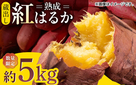 【数量限定】蔵出し 熟成 紅はるか さつまいも 約5kg サイズバラバラ 密 芋 【合同会社 福福堂】さつまいも サツマイモ さつま芋 焼き芋 熊本県産さつまいも 熊本 [ZCN017]