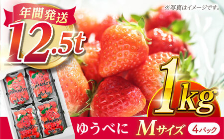 いちご Mサイズ ゆうべに 1kg(4pc)[熊本ベリー]いちご イチゴ 苺 ゆうべに 国産 熊本県産 九州産 熊本 Mサイズ くまもと 九州 こだわり 約1キロ 