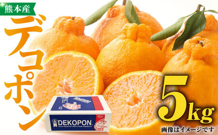 ys\z fR|  5kg ϔ y܉ʎz łۂ ʕ t[c k F{YfR| [ZCJ003]