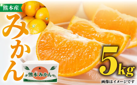 F{ ݂  5kg ϔ y܉ʎz~J k F{݂ B Y ʕ t[c [ZCJ004]