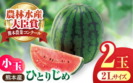 [先行予約]小玉スイカ ひとりじめ 2玉 2Lサイズ [株式会社 前田ファーム]