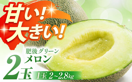 [先行予約]肥後グリーンメロン 2玉(1玉 約2.0〜2.8kg)[鹿本農業協同組合]