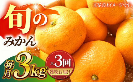 [先行予約][数量限定][3回定期便]みかん 約3kg 詰め合わせ 柑橘[合同会社 社方園]