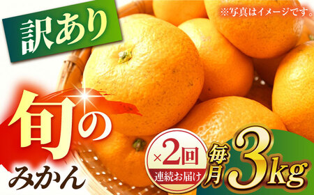 [先行予約][数量限定][2回定期便][訳あり]家庭用 みかん 約3kg 詰め合わせ 柑橘[合同会社 社方園]