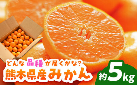 ys\z݂ 5kgỷw ӃvUƁz[ZEG002]