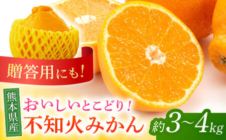 [先行予約]不知火 みかん 約3kg〜4kg 果物 化粧箱入り 贈答用[道の駅 水辺プラザかもと]