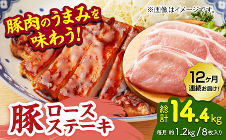y12ցz؃[XXe[L 1.2kgi150g×8jygz[ZEW092]