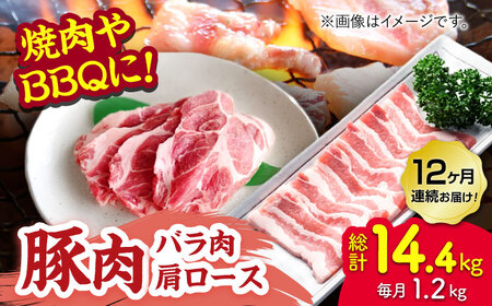 y12ցzؓ ēpioE[Xj1.2kgi300g×4pcjygz[ZEW098]