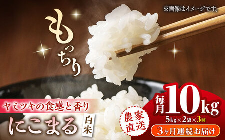 【3回定期便】 にこまる 白米 計10kg（5kg×2袋）【竹下農園】[ZEL008]